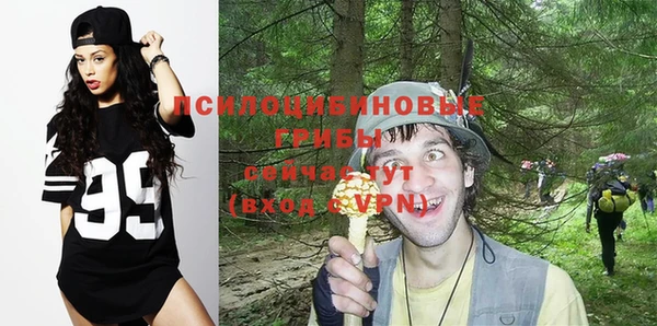 соль ск Алексин
