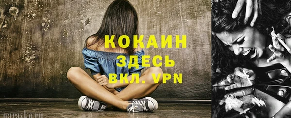 соль ск Алексин