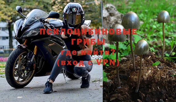 соль ск Алексин