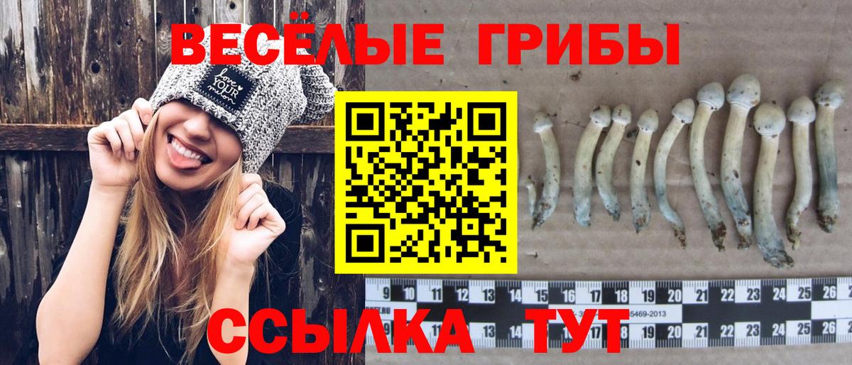 Галлюциногенные грибы MAGIC MUSHROOMS  Вход с VPN  Галлюциногенные грибы Cubensis  Волгоград 