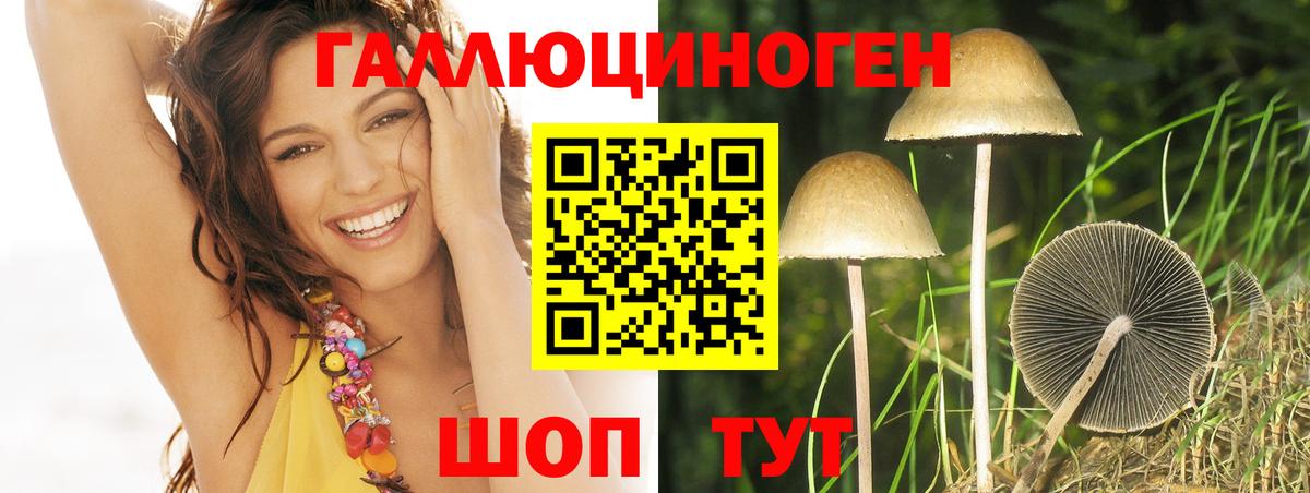 Псилоцибиновые грибы Psilocybine cubensis  Вход с VPN  Псилоцибиновые грибы Magic Shrooms  Волгоград 