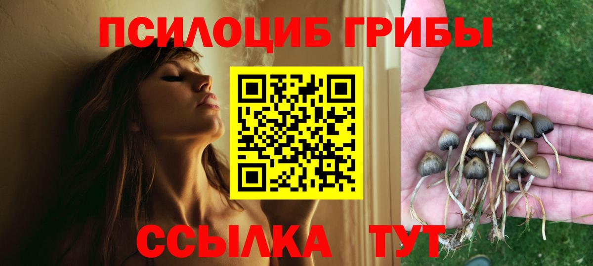 Галлюциногенные грибы Psilocybine cubensis Волгоград
