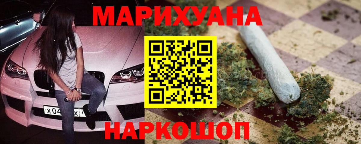 Каннабис сатива Волгоград
