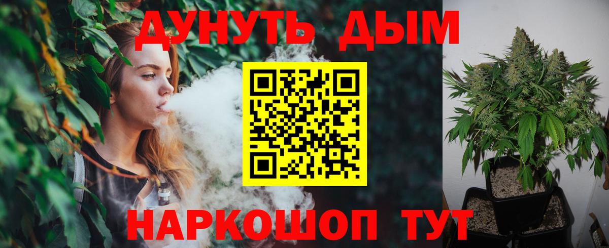 Каннабис планчик  Марихуана индика  Волгоград  Марихуана план  Вход с VPN 
