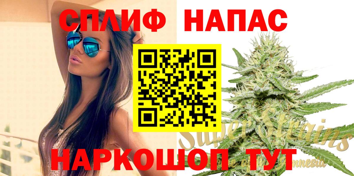 Каннабис индика Волгоград